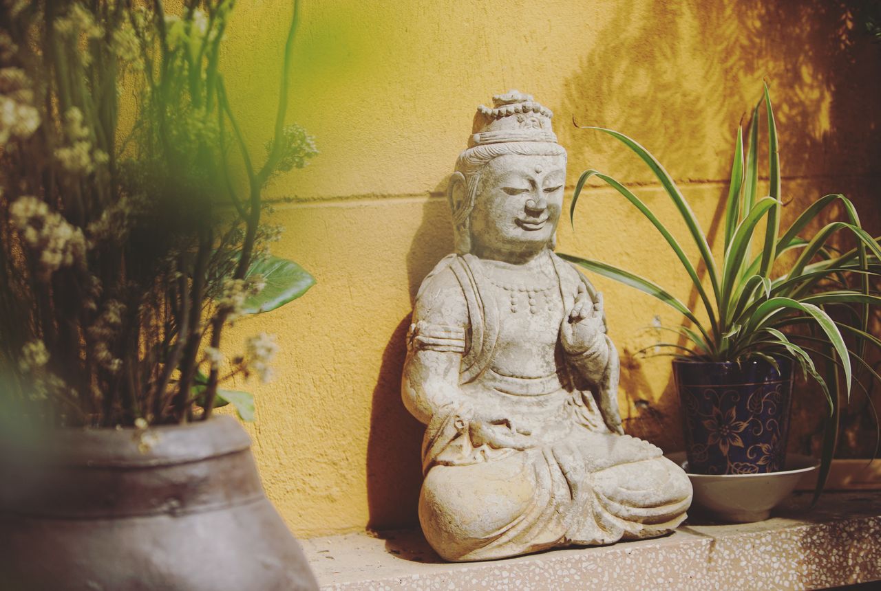 who-we-are A tranquil stone Buddha statue surrounded by plants, symbolizing peace and meditation in a garden setting.